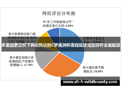 多重因素交织下舆论热议的C罗美洲杯表现低迷成因探析全面解读